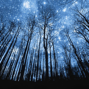 我的总裁老妈3D漫画下拉式
